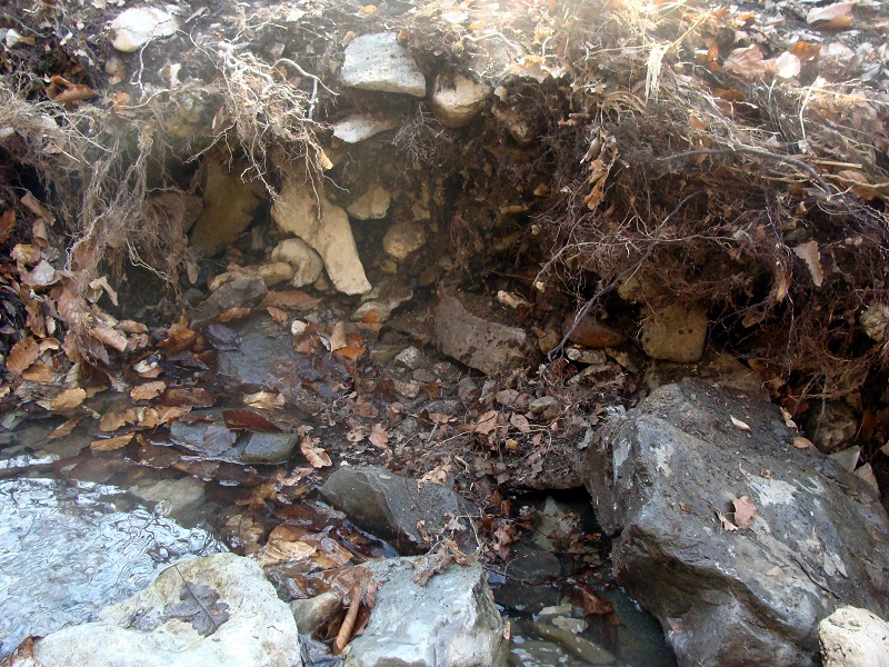 DSC02356.JPG