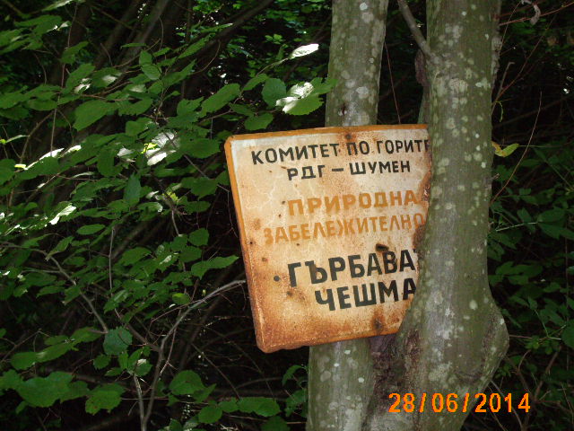 143.JPG