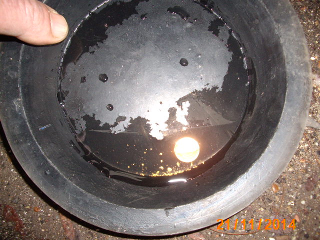010.JPG